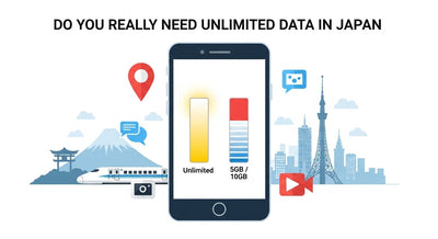 Do You Really Need Unlimited? Data Usage Cheat Sheet by Days × Travel Style